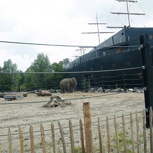 Old photo - Asian elephant paddock next to Mersus Emergo, 2009