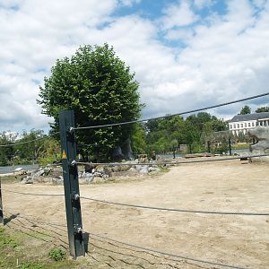 Old photo - Asian elephant paddock next to Mersus Emergo, 2012