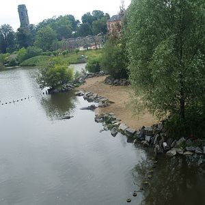 Old photo - Hippopotamus exhibit next to Mersus Emergo, 2009