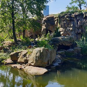 The new Siberian Tiger enclosure