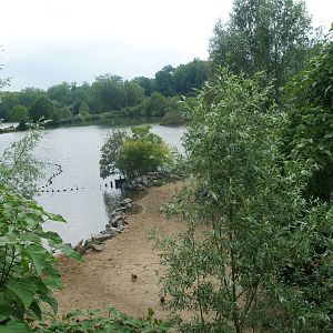 Old photo - Hippopotamus exhibit next to Mersus Emergo, 2009