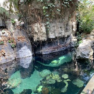 Tropics trail- indo-pacific tropical reef