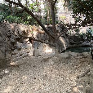 Tropics trail- Malayan tapir & demoiselle crane exhibit