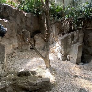 Tropics trail- Malayan tapir & demoiselle crane exhibit