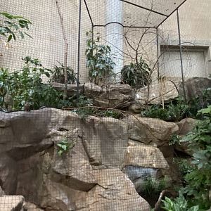 Tropics trail- smaller Asian aviary