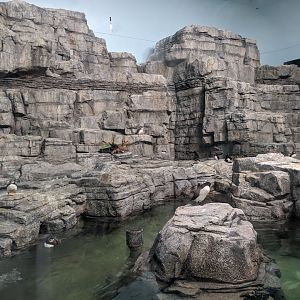 Labrador Coast ecosystem - 03-09-2020