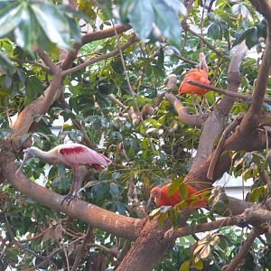 A small gathering - 03-09-2020