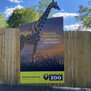 Giraffes could be in the future....