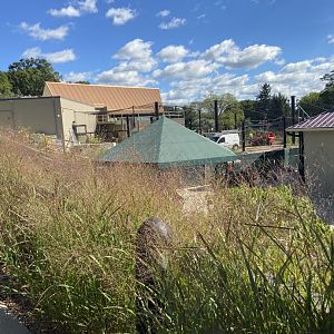 Wild Asia Construction Update