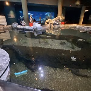 Discovery bay- estuary