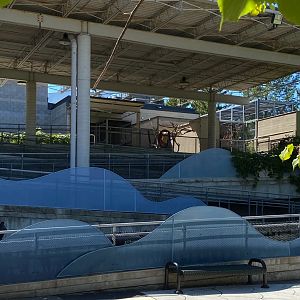 Main building- former monorail line & tamandua exhibit