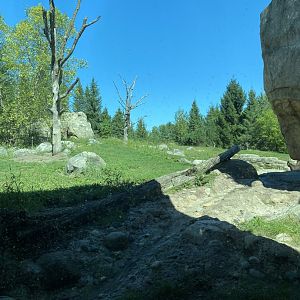 Russia’s grizzly coast- Alaskan brown bear exhibit