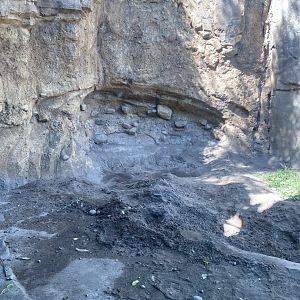 Russia’s grizzly coast- Alaskan brown bear exhibit