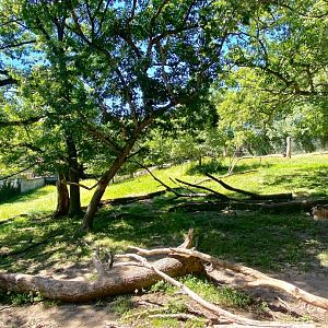 Northern trail- Sichuan takin exhibit