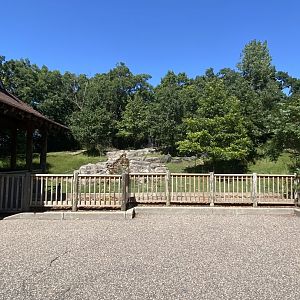 Northern trail- Sichuan takin exhibit