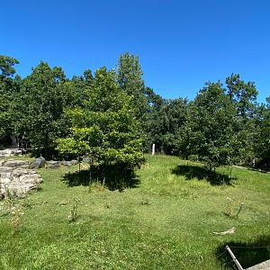Northern trail- Sichuan takin exhibit
