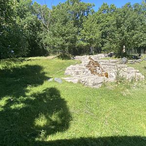Northern trail- Sichuan takin exhibit