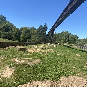 Northern trail- prairie dog exhibit