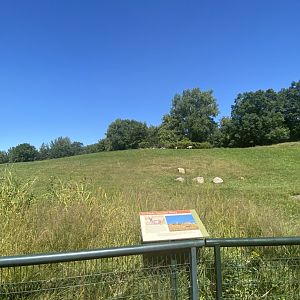 Northern trail- pronghorn exhibit