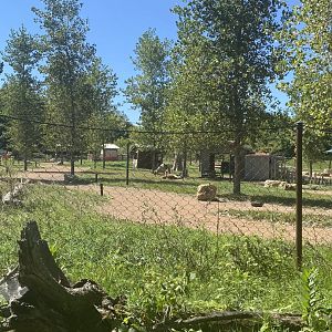 Northern trail- lama trek