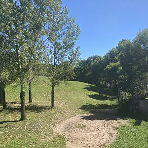 Northern trail- Przewalski’s horse exhibit