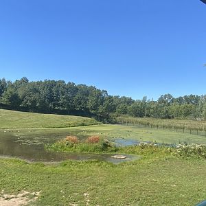 Northern trail- Bactrian camel exhibit