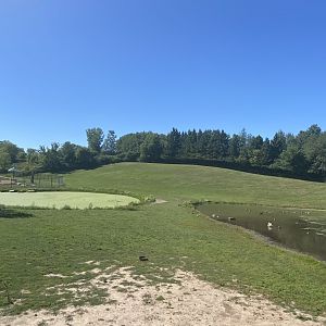 Northern trail- Bactrian camel exhibit