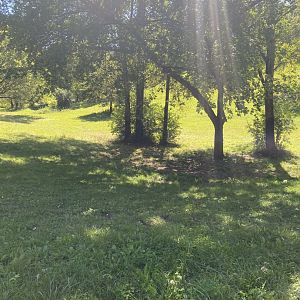 Wells Fargo family farm- domestic horse exhibit