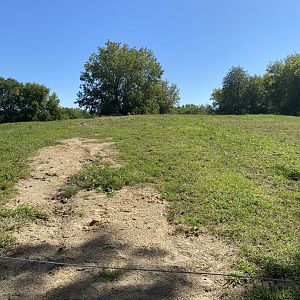 Wells Fargo family farm- domestic horse exhibit