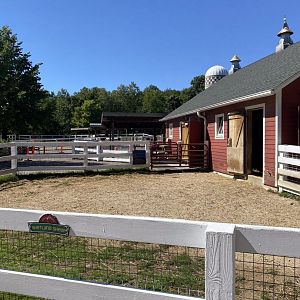 Wells Fargo Family Farm- Sheep exhibit