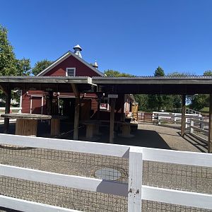 Wells Fargo family farm- goat exhibit