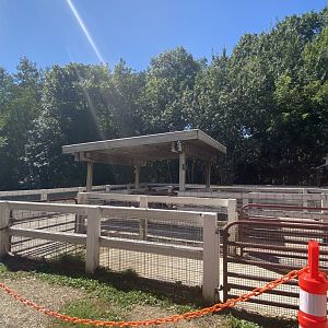 Wells Fargo family farm- pig stalls