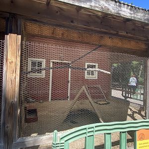 Wells Fargo family farm- rabbit exhibit