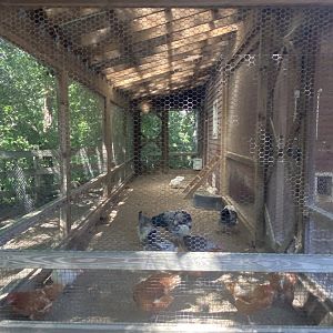 Wells Fargo family farm- chicken coop