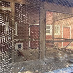Wells Fargo family farm- chicken coop