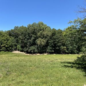 Northern trail- caribou exhibit