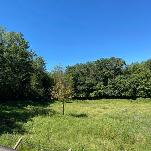 Northern trail- caribou exhibit