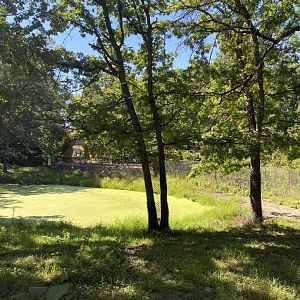 Northern trail- moose exhibit