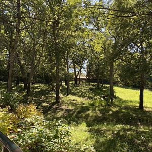 Northern trail- moose exhibit