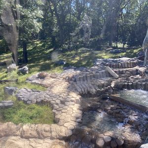 New tiger lair- new paw shaped waterfall
