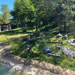 New tiger lair- Amur tiger exhibit