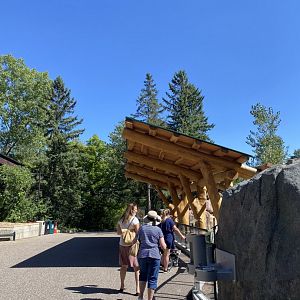 New tiger lair- new viewing shelter