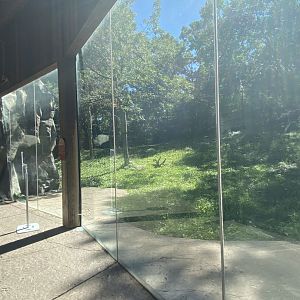 existing tiger lair exhibit