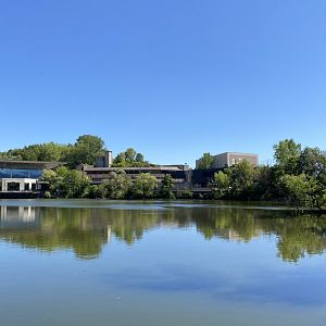 Northern trail- main lake & trumpeter swan exhibit