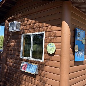 Northern trail- mussel lab