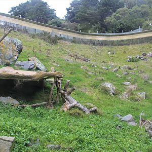 old baboon enclosure