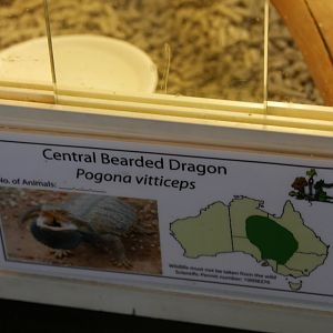 Obviously Incorrect Signage