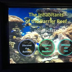 Barrier Reef guide