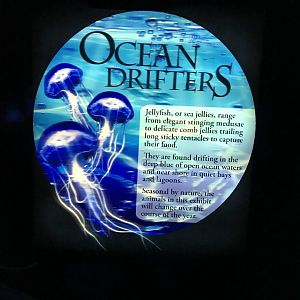 "Ocean Drifters" sign