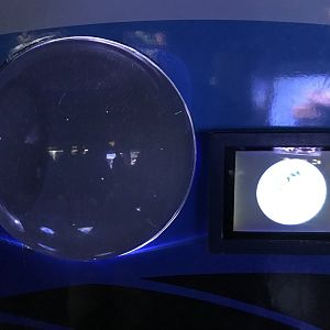 Blue blubber jelly(?) exhibit